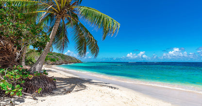 Goldwyn Resort-Nassau, Bahamas